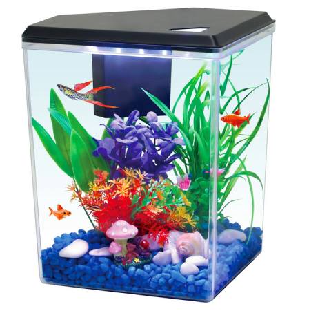 Aqua Culture 2.5 Gallon Plastic Aquarium, Black, 12.23''L x 9.16_W x 11.22''H