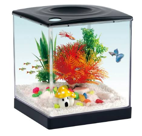 Aqua Culture Plastic 0.75 Gallon Aquarium