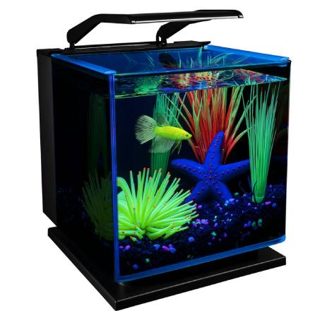 GloFish Betta Shadowbox Aquarium Kit 3 Gallons