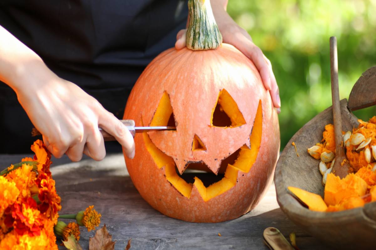 Pumpkin Carving Kit