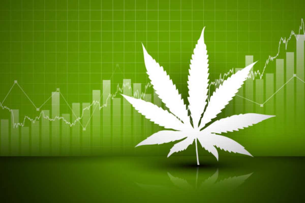 Analysing the Financials_ What to Look for in Cannabis Stocks