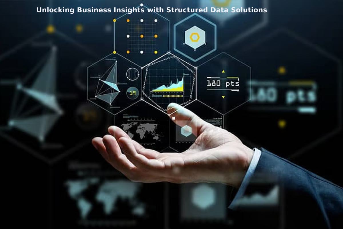 Unlocking Business Insights with Structured Data Solutions